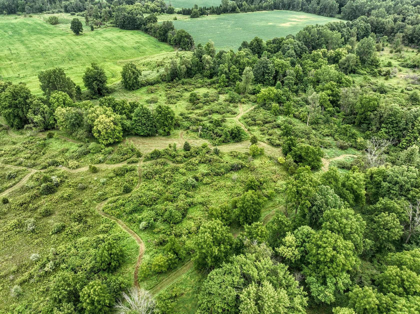 20 Acres of Recreational & Residential Land for Sale in Charlotte, Michigan