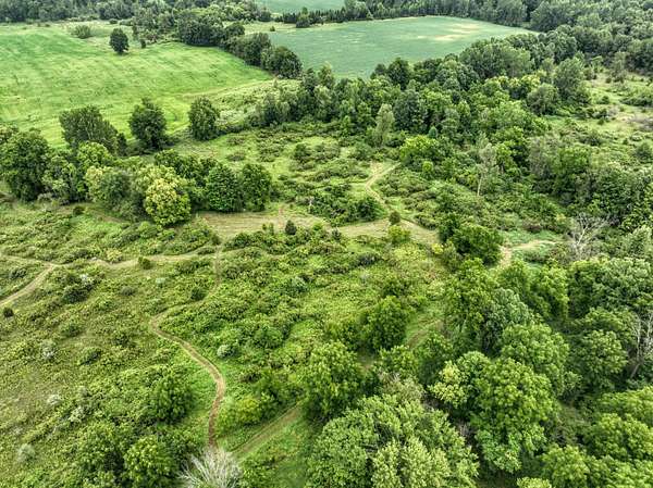 20 Acres of Recreational & Residential Land for Sale in Charlotte, Michigan