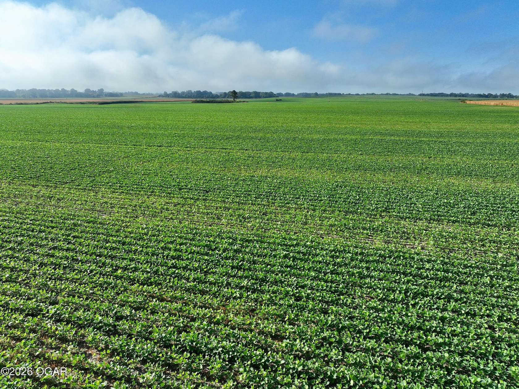 160 Acres of Land for Sale in Golden City, Missouri