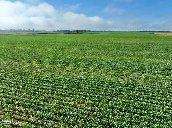 160 Acres of Land for Sale in Golden City, Missouri