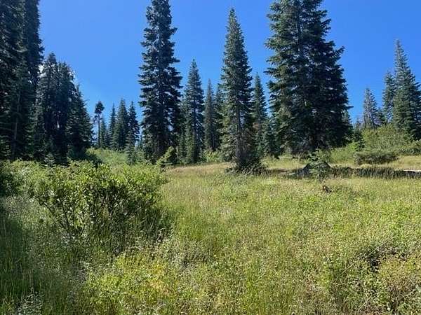 304 Acres of Recreational Land for Sale in Bucks Lake, California