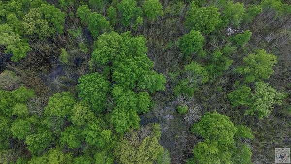 10 Acres of Recreational & Residential Land for Sale in Texas City, Texas