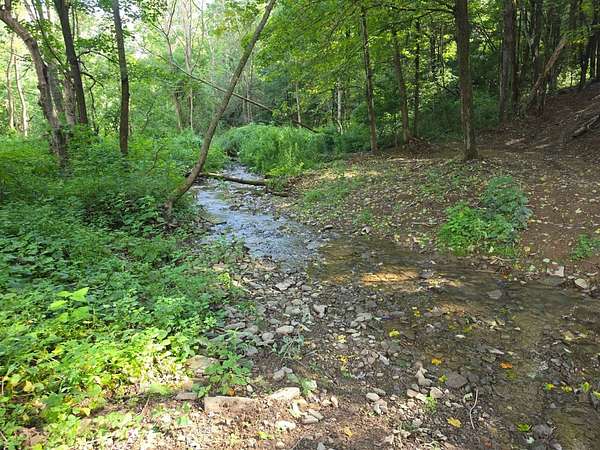 292 Acres of Recreational & Residential Land for Sale in Lapeer, New York