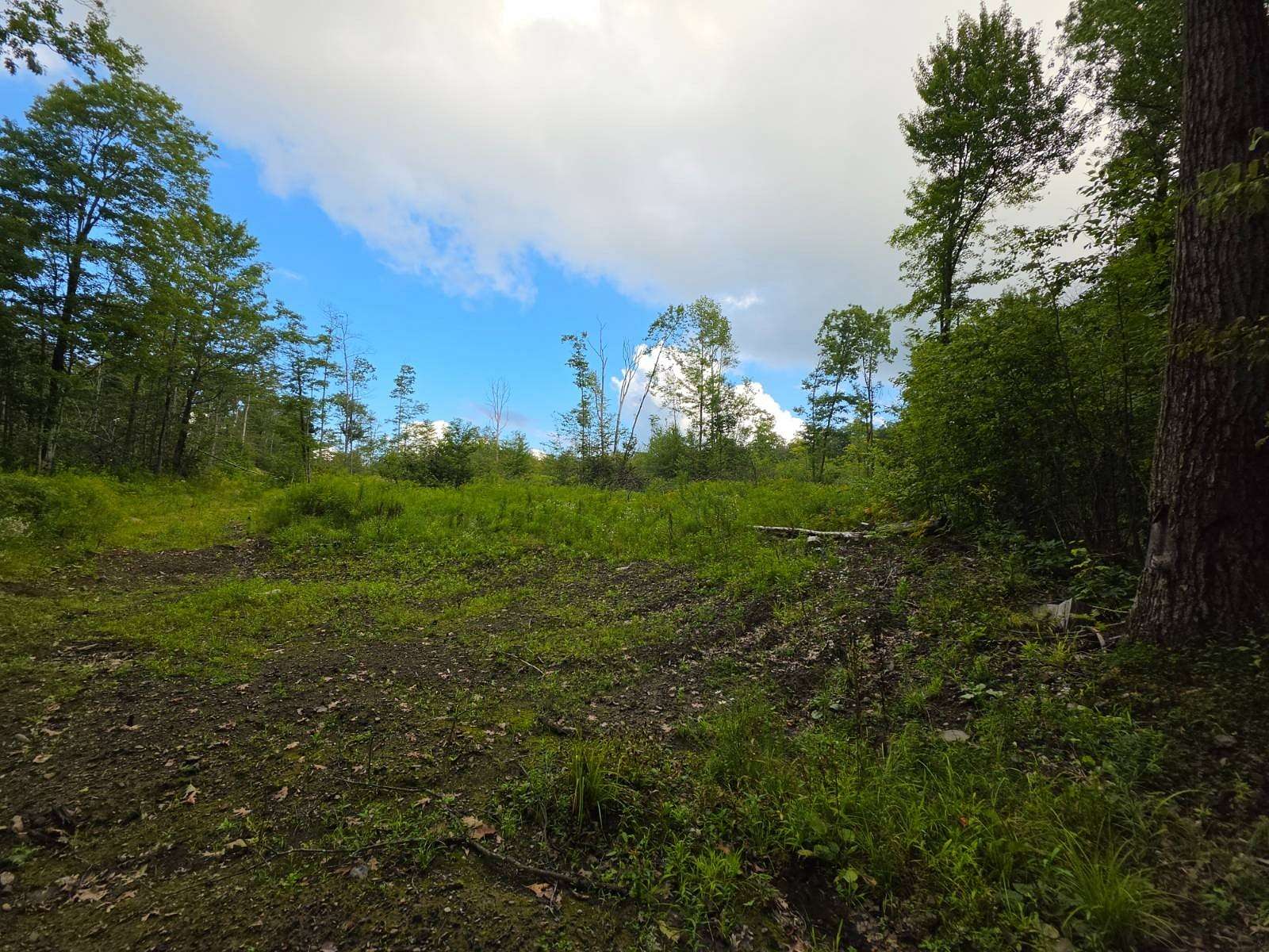 29 Acres of Recreational & Residential Land for Sale in Harford, New York