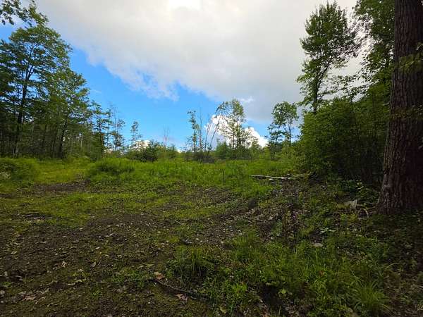 29 Acres of Recreational & Residential Land for Sale in Harford, New York