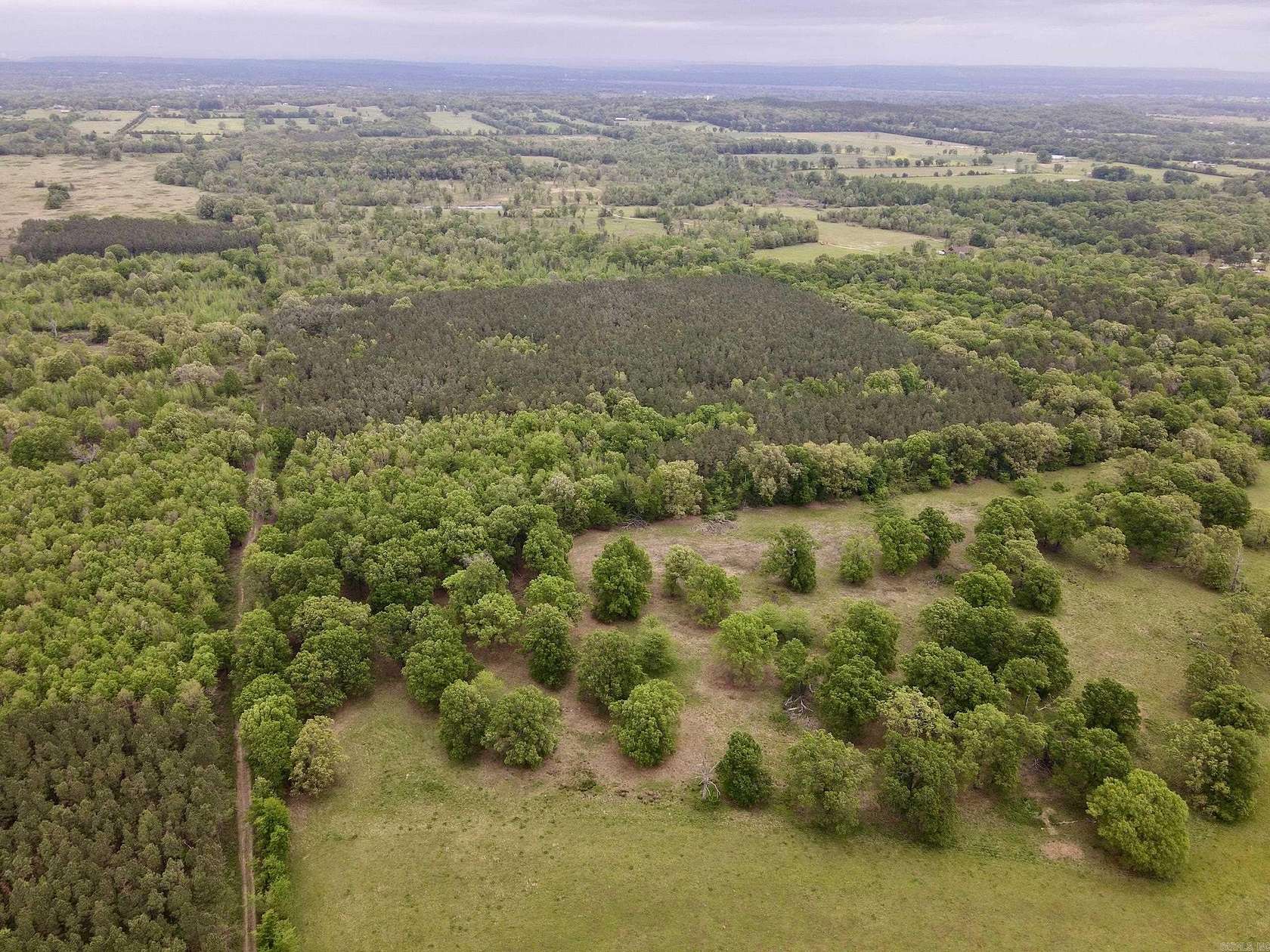 39.2 Acres of Recreational & Residential Land for Sale in Dardanelle, Arkansas