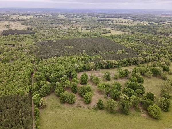 39.2 Acres of Recreational & Residential Land for Sale in Dardanelle, Arkansas