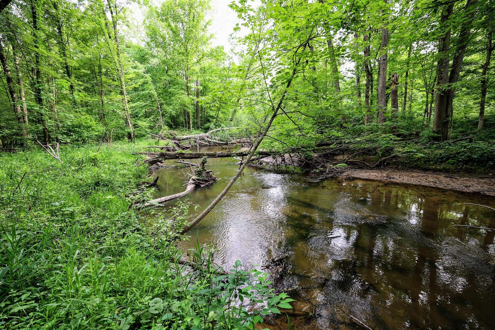 29.7 Acres of Recreational & Residential Land for Sale in Bangor, Michigan