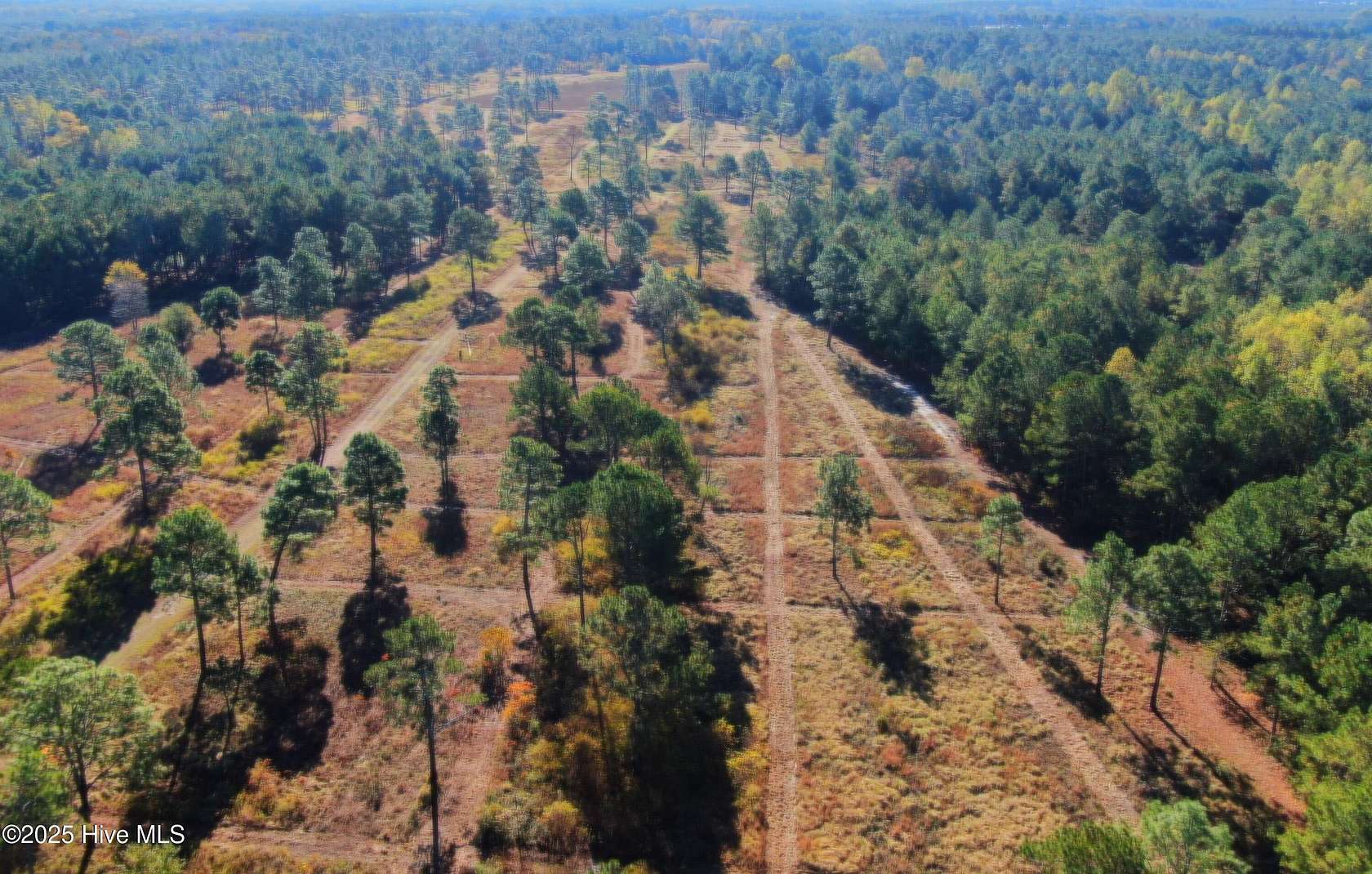 148 Acres of Recreational & Residential Land for Sale in Rose Hill Township, North Carolina
