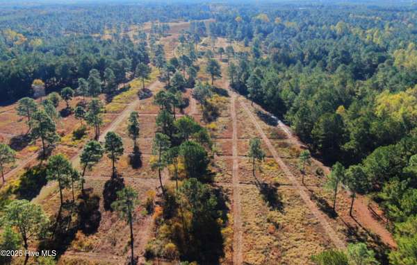 148 Acres of Recreational & Residential Land for Sale in Rose Hill Township, North Carolina