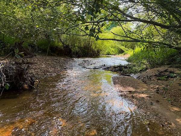 36 Acres of Recreational & Residential Land for Sale in Hamilton, Alabama