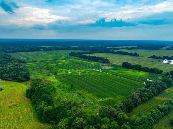 149 Acres of Land for Sale in Dexter, Kentucky