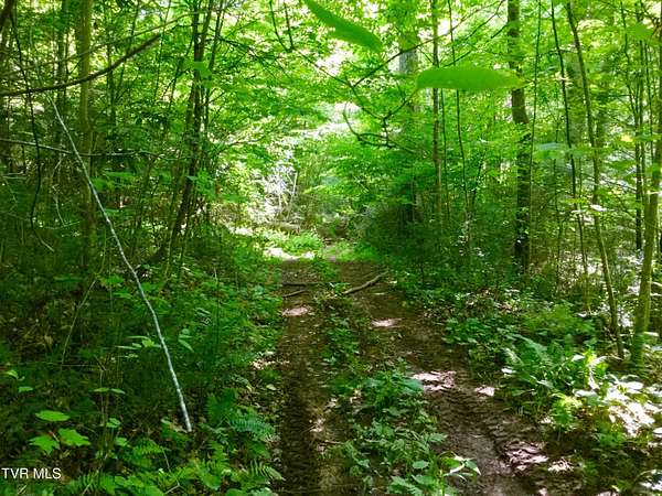 22.8 Acres of Recreational & Residential Land for Sale in Elizabethton, Tennessee