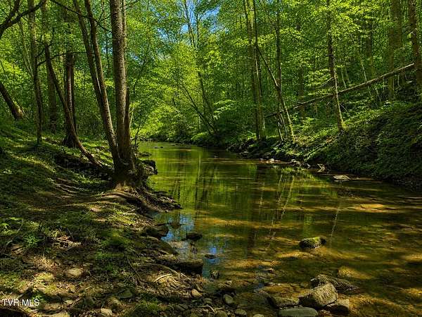 73 Acres of Land with Home for Sale in Rogersville, Tennessee