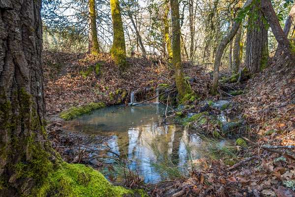 10.6 Acres of Land with Home for Sale in Grants Pass, Oregon