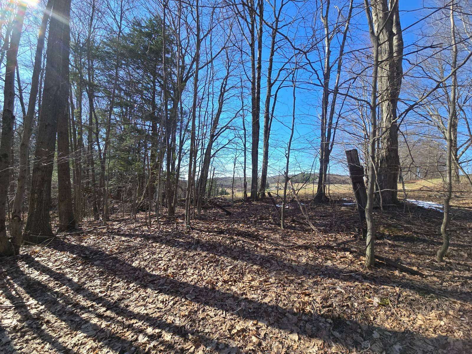 78 Acres of Recreational & Residential Land for Sale in Harpursville, New York