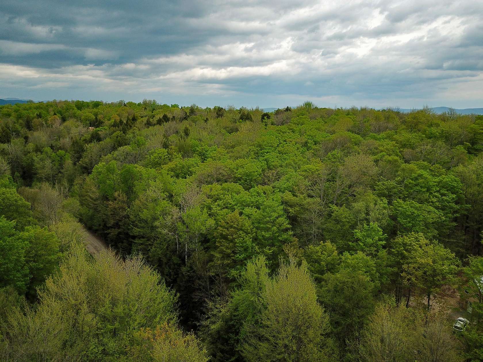 11.9 Acres of Land for Sale in Wolcott, Vermont