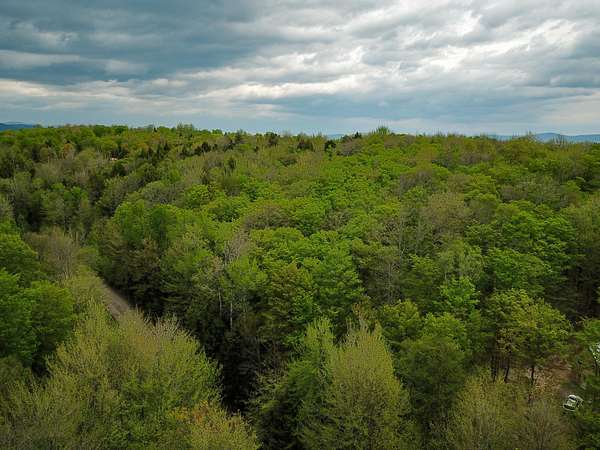 11.9 Acres of Land for Sale in Wolcott, Vermont