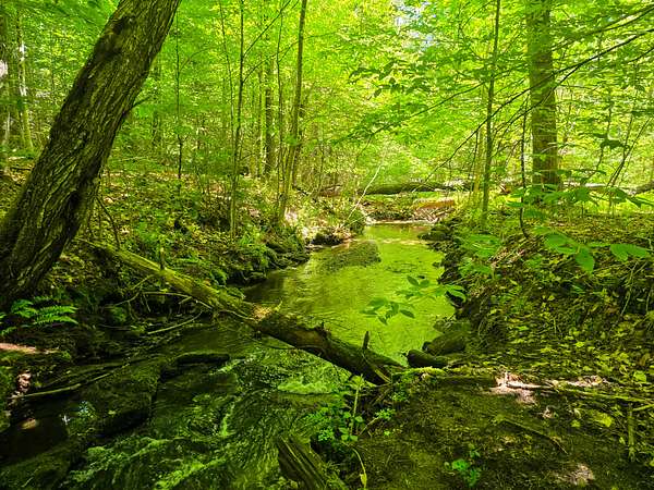 12.7 Acres of Land for Sale in Bradford, Vermont