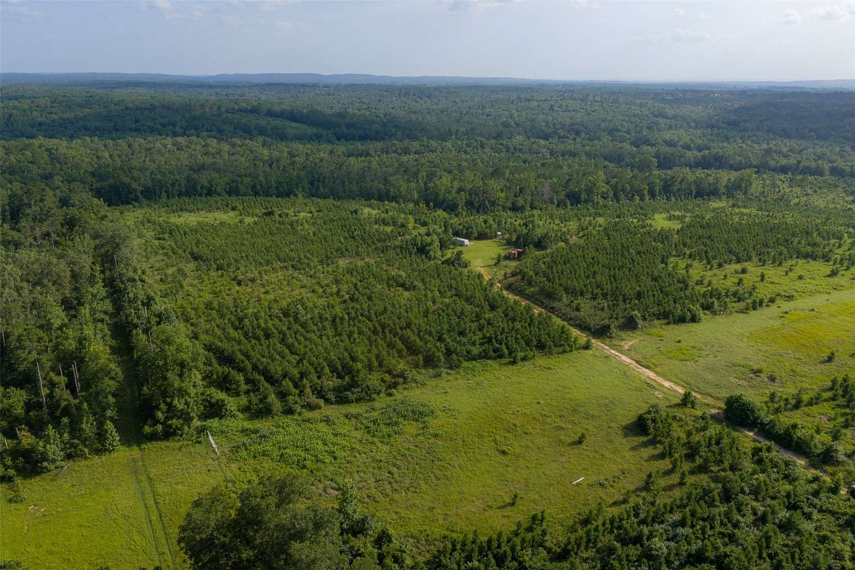 48.3 Acres of Land for Sale in Laneville, Texas