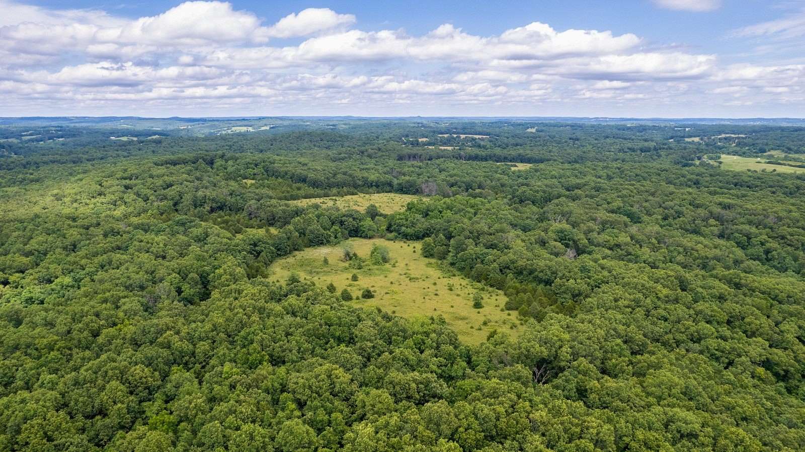 137 Acres of Land for Sale in Ava, Missouri