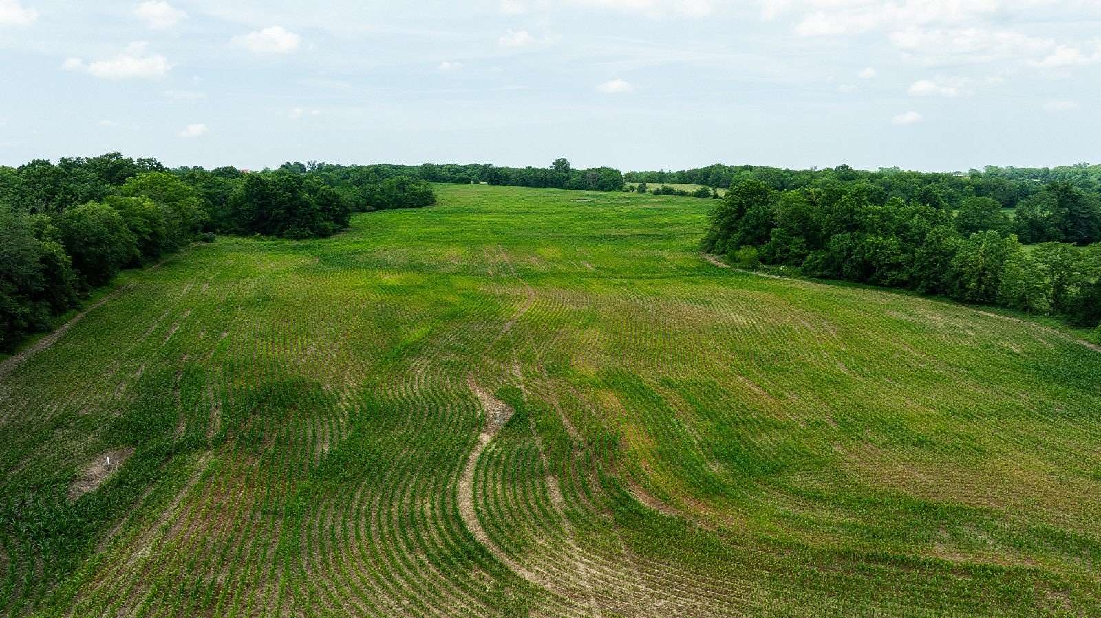 60 Acres of Land for Sale in Gallatin, Missouri