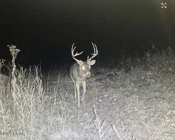109 Acres of Recreational Land for Sale in Carthage, Missouri