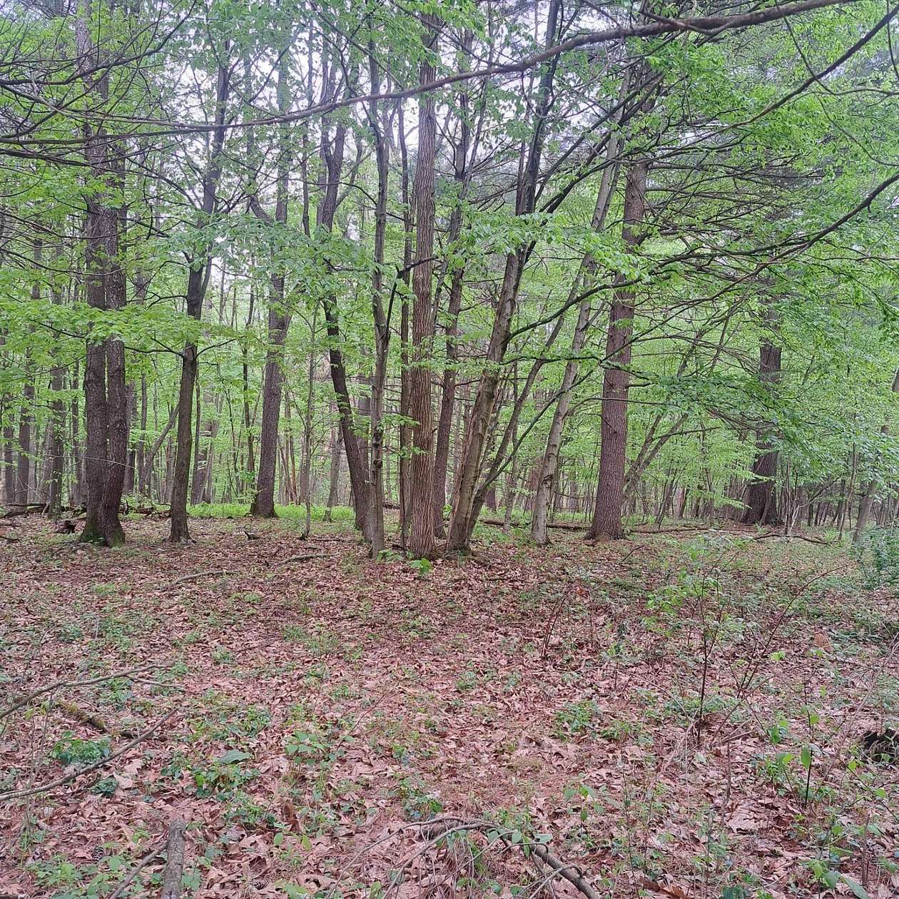 3 Acres of Residential Land for Sale in Huntingdon, Pennsylvania