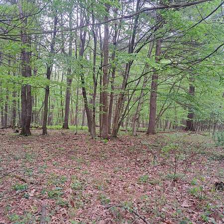 3 Acres of Residential Land for Sale in Huntingdon, Pennsylvania