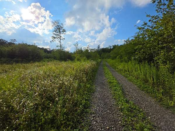 29.2 Acres of Recreational & Residential Land for Sale in Harford, New York