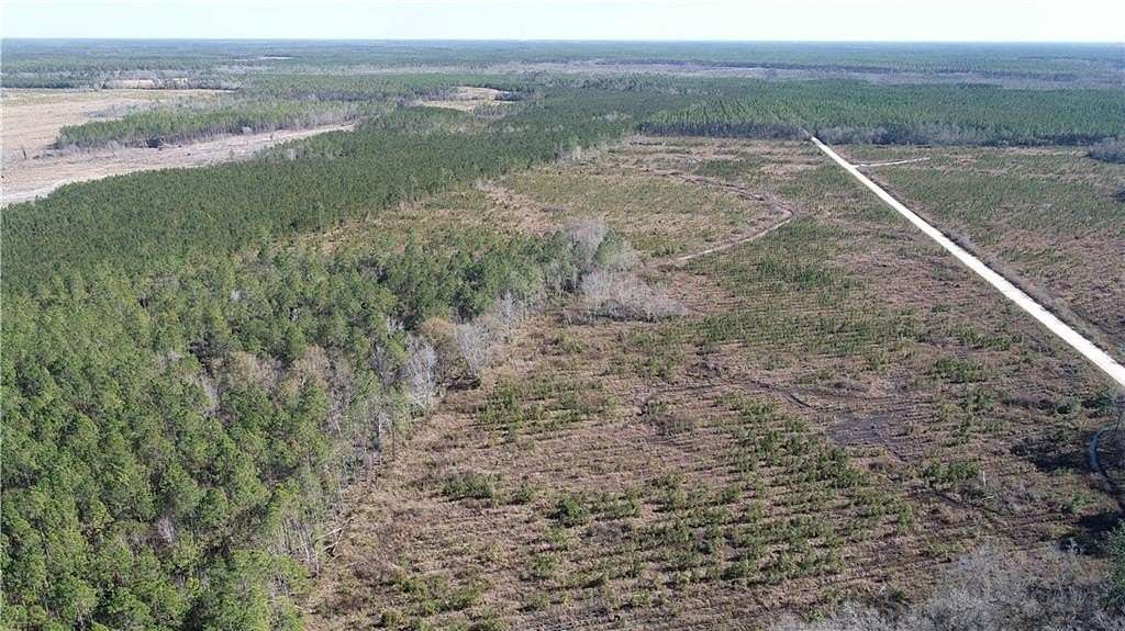 202 Acres of Recreational & Residential Land for Sale in Jesup, Georgia