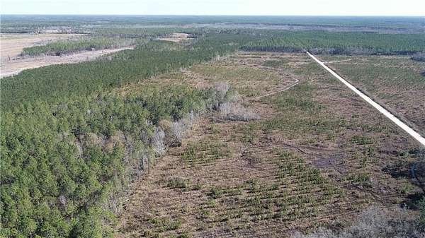 202 Acres of Recreational & Residential Land for Sale in Jesup, Georgia