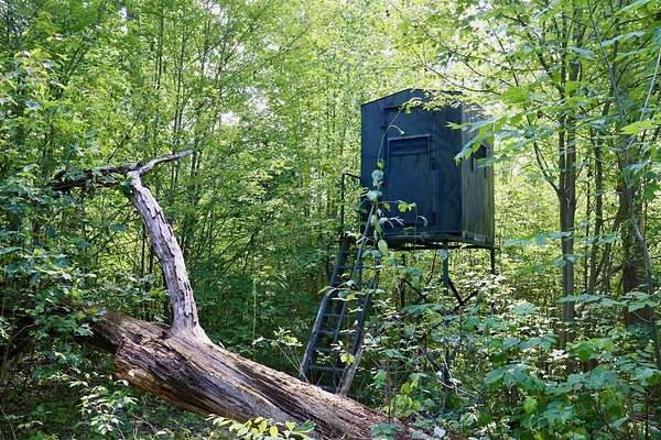 95.6 Acres of Recreational Land for Sale in Harrison, Michigan
