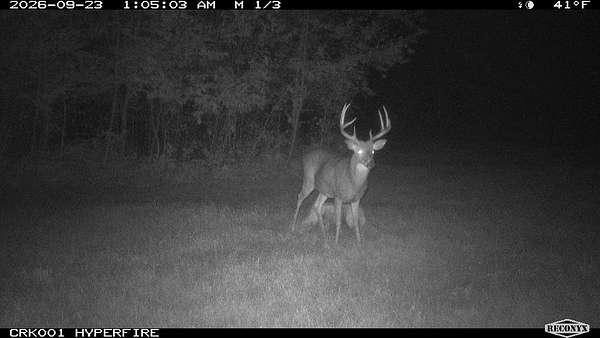 95.6 Acres of Recreational Land for Sale in Harrison, Michigan