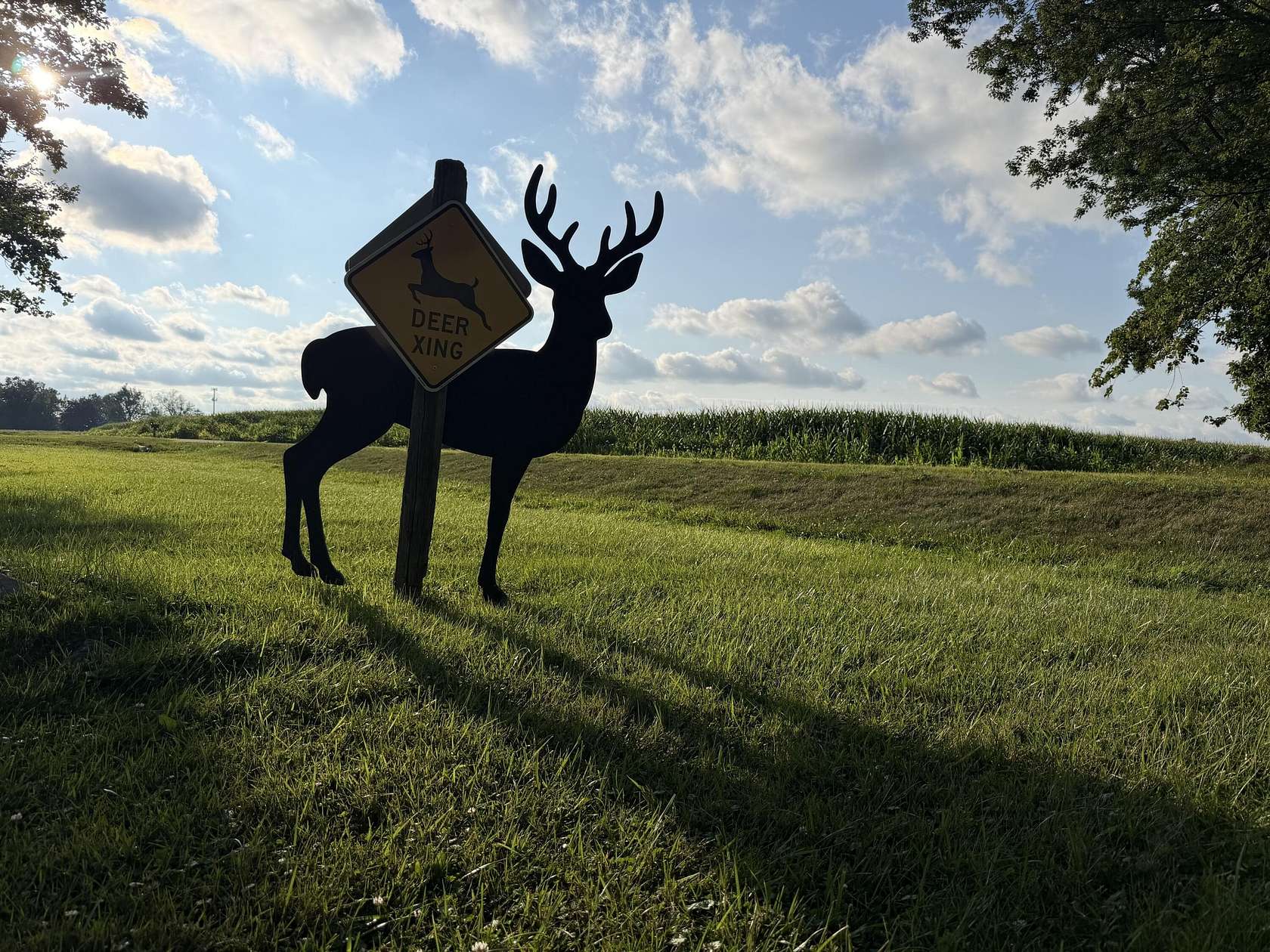 75 Acres of Land for Sale in Perry, Michigan
