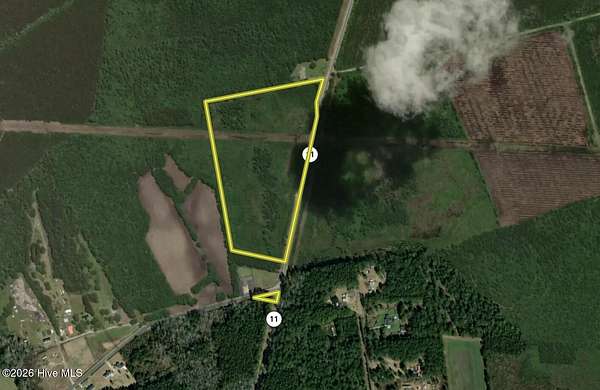 20 Acres of Recreational & Residential Land for Sale in Riegelwood, North Carolina