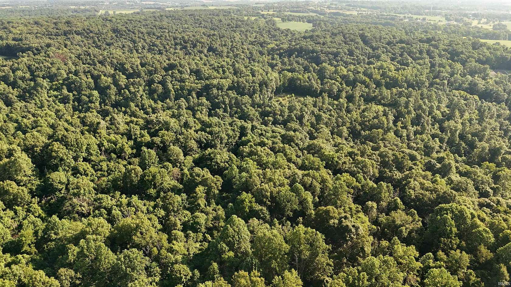 140 Acres of Land for Sale in Bedford, Indiana