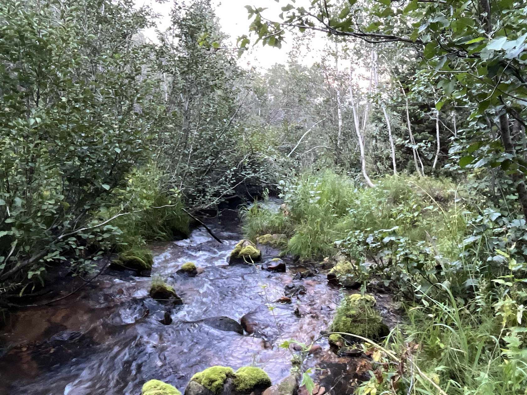40.2 Acres of Recreational Land for Sale in Montpelier, Idaho
