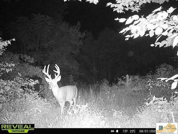 67 Acres of Recreational Land for Sale in Edmonton, Kentucky