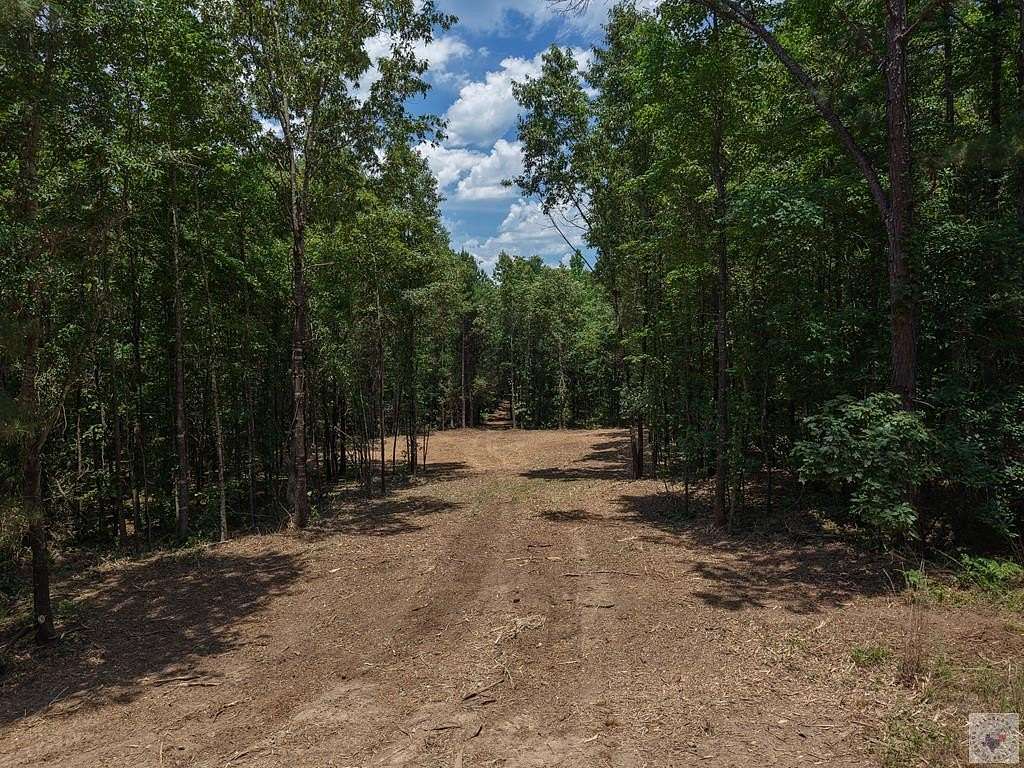 12 Acres of Recreational & Residential Land for Sale in McLeod, Texas