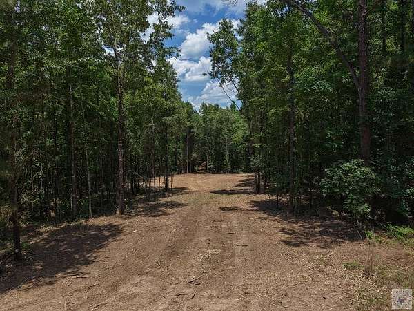 12 Acres of Recreational & Residential Land for Sale in McLeod, Texas