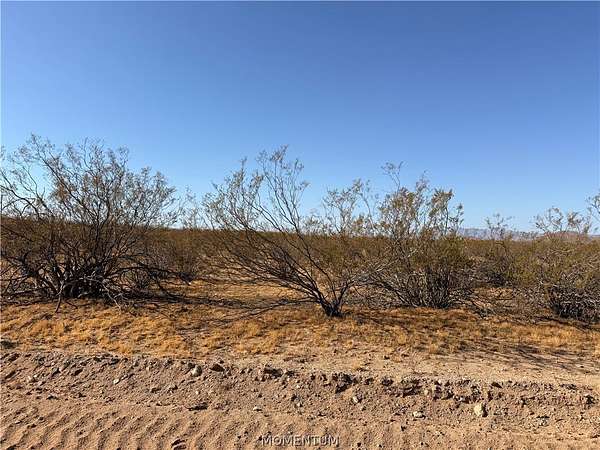 8 Acres of Residential Land for Sale in Golden Valley, Arizona