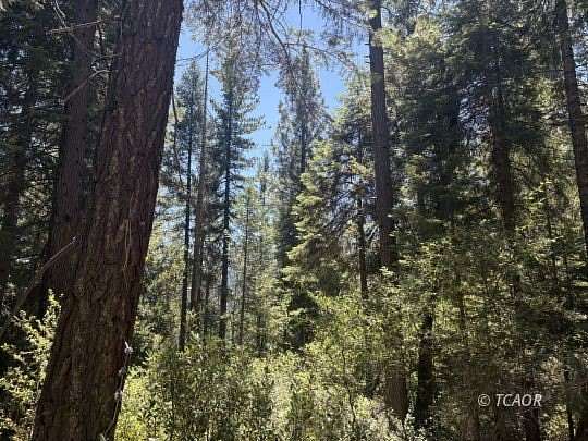 40 Acres of Land for Sale in Shasta Lake, California