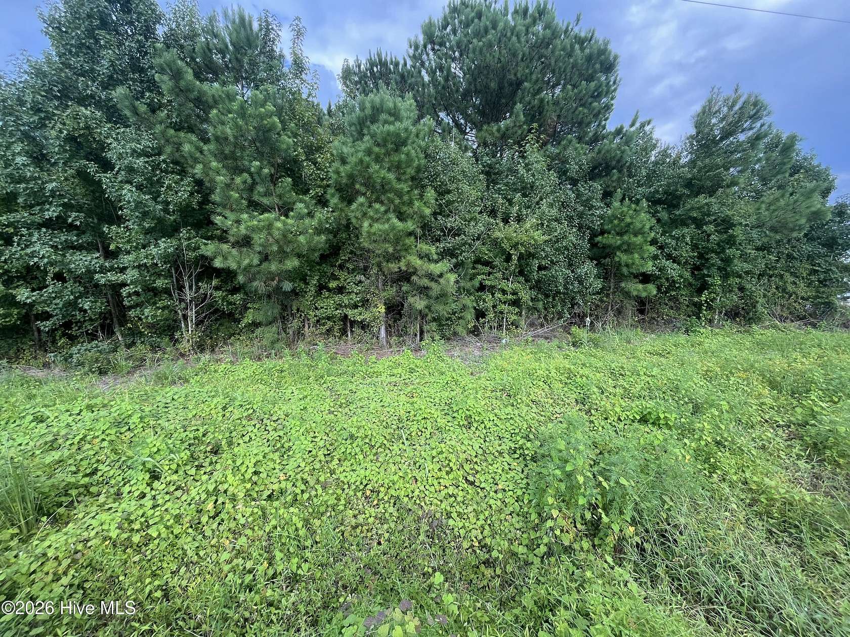 7.3 Acres of Commercial Land for Sale in Chadbourn, North Carolina
