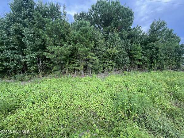 7.3 Acres of Commercial Land for Sale in Chadbourn, North Carolina