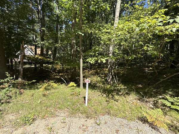 0.27 Acres of Land for Sale in Stanwood, Michigan