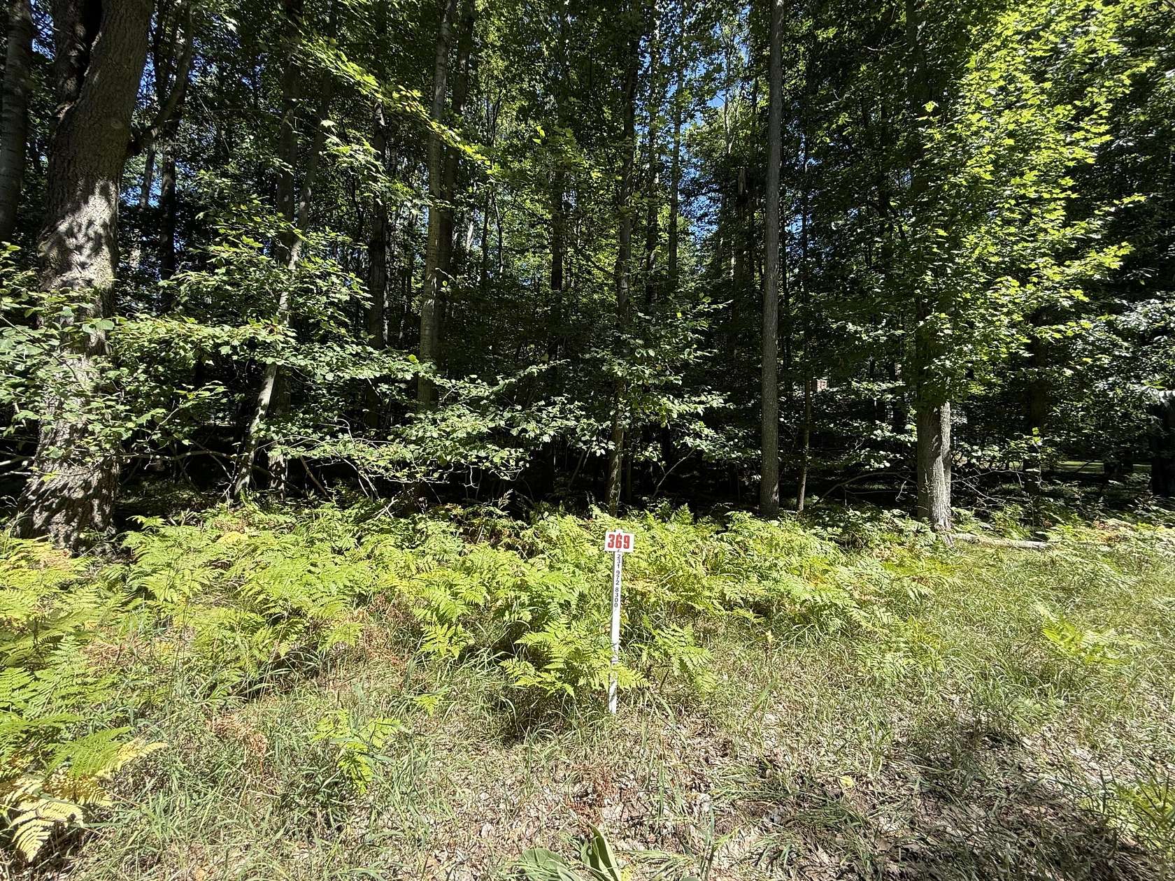 0.23 Acres of Land for Sale in Stanwood, Michigan