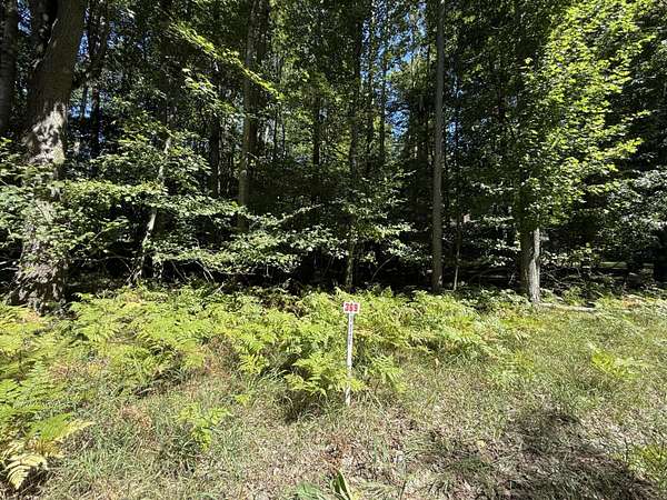 0.23 Acres of Land for Sale in Stanwood, Michigan