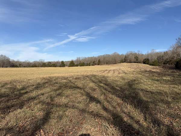 132 Acres of Land for Sale in Koshkonong, Missouri