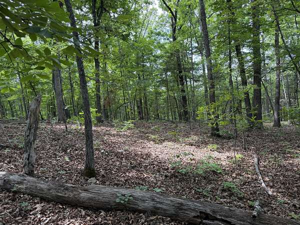 16.1 Acres of Recreational & Residential Land for Sale in Cedarcreek, Missouri